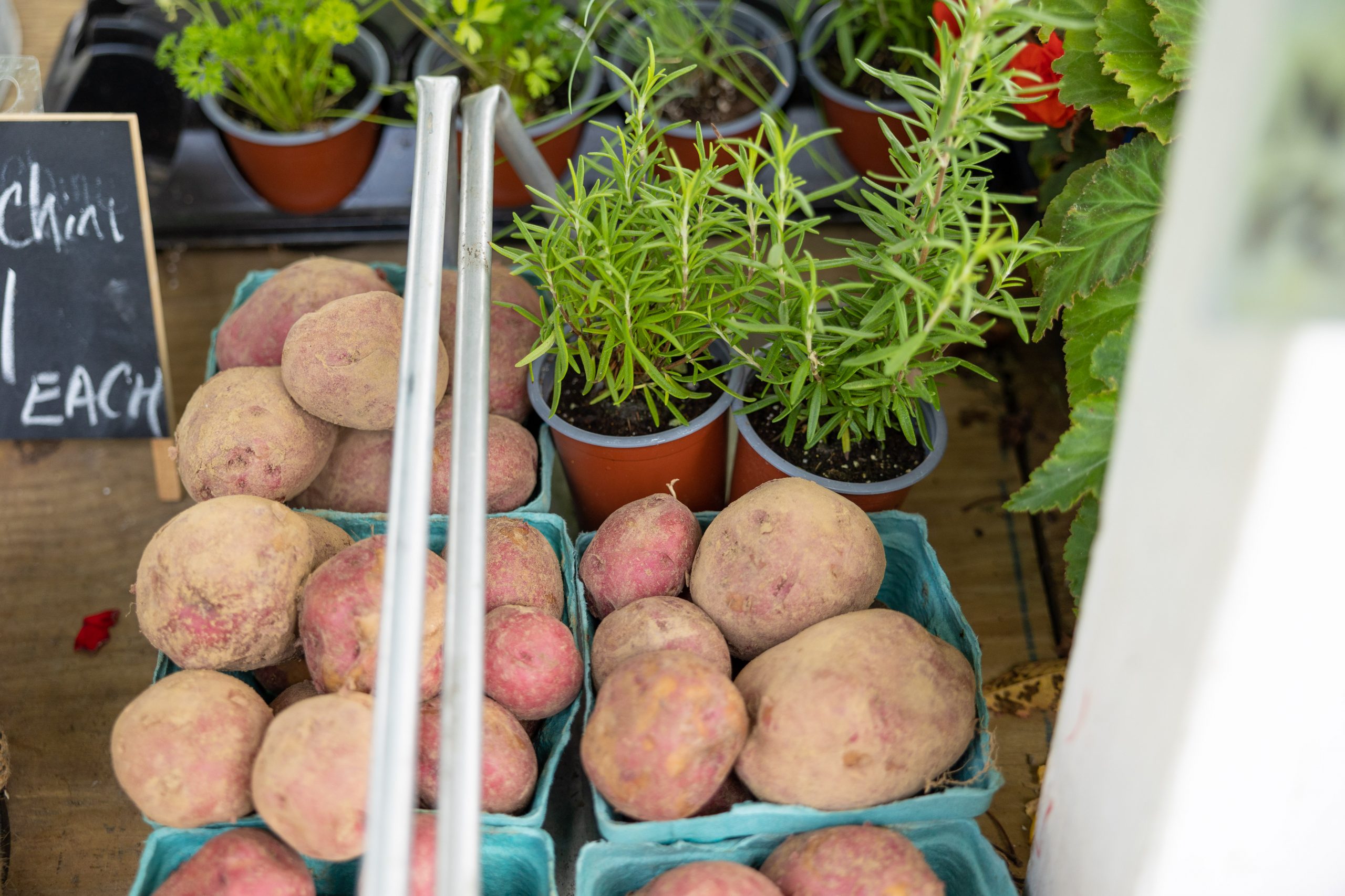 Zilnicki Farms CSA delivery